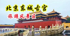 欧美操阴户视频中国北京-东城古宫旅游风景区